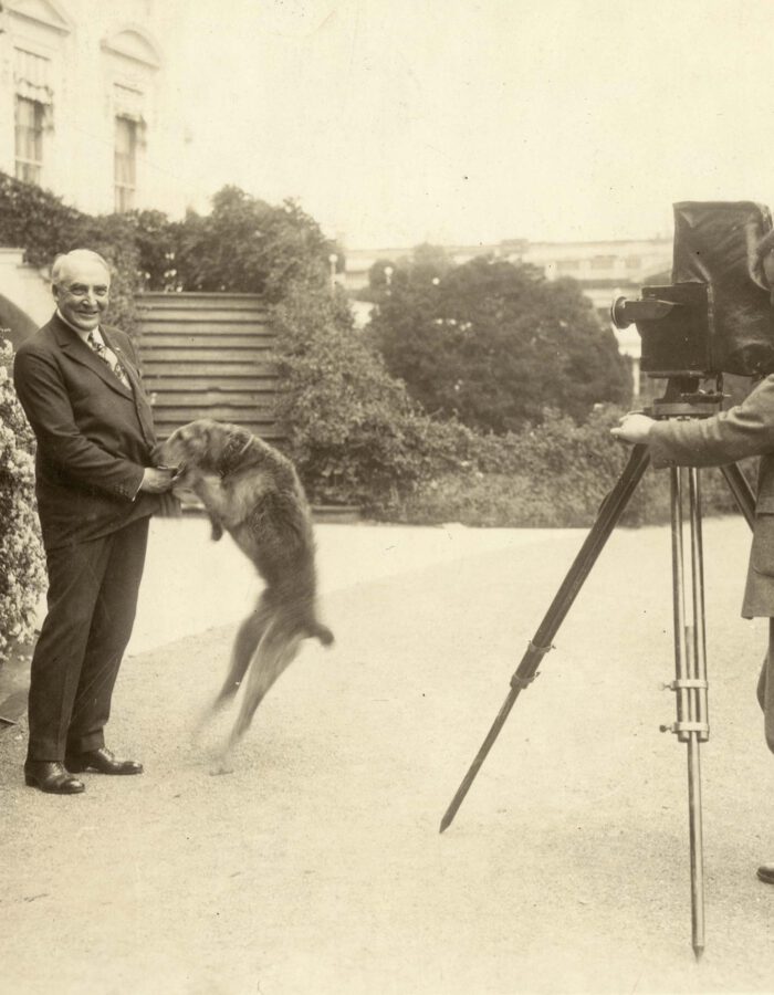 President Warren G. Harding plays with his dog Laddie in front of the White House, June 13, 1922 - National Photo Company/Library of Congress, Prints & Photographs Div
