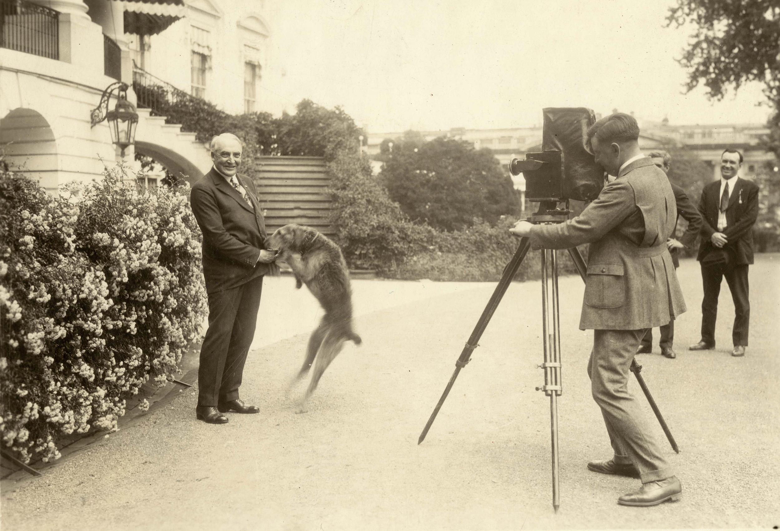 President Warren G. Harding plays with his dog Laddie in front of the White House, June 13, 1922 - National Photo Company/Library of Congress, Prints & Photographs Div