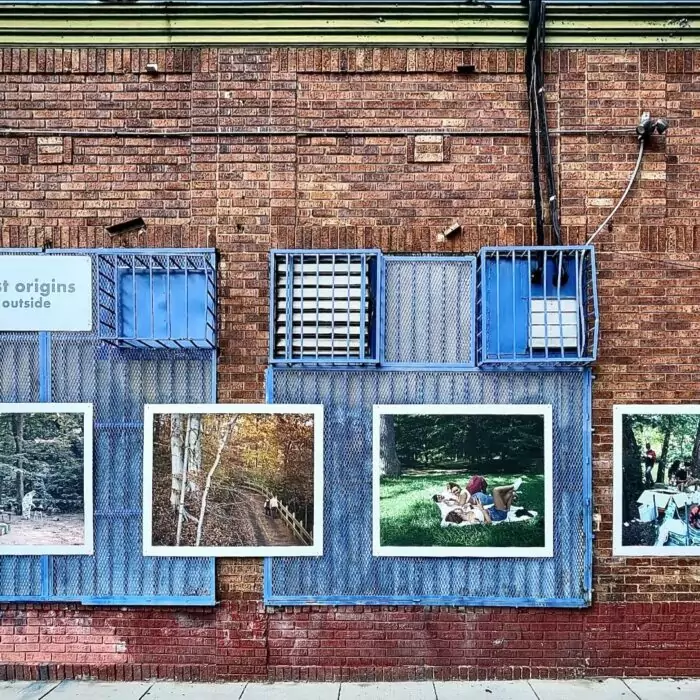 750d5fa7 D211 47ed B73b 9c5b136e3f9d